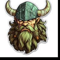 MrViking Thefirst