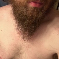 chubbybeardedjt
