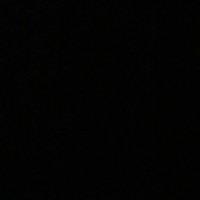 misschampagn8