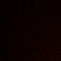 fybalex8
