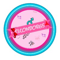 elcondor65