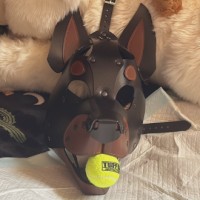 ruffdawgs