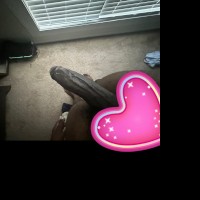 Rvde_jax