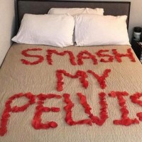 Teezmepls