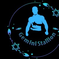 Gemini Stallion Ja