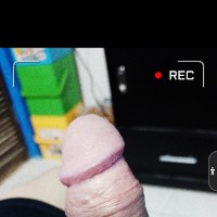 ErectotL