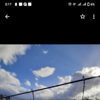 Chic_masturbator