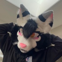 AuroraThePup