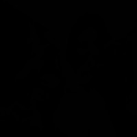 Zalgooo