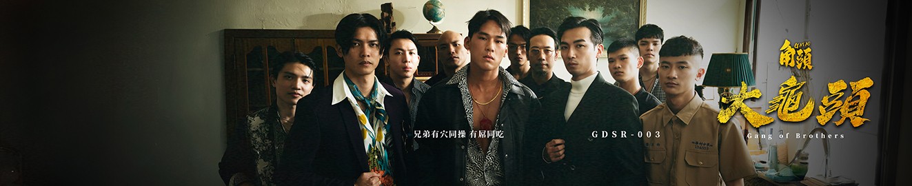 GAYDAR cover