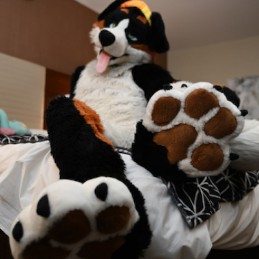 AngryBarks