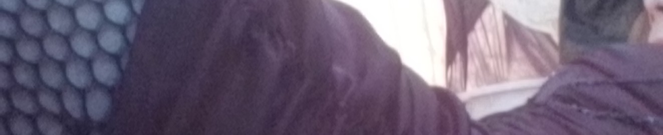 Michaelocarroll63