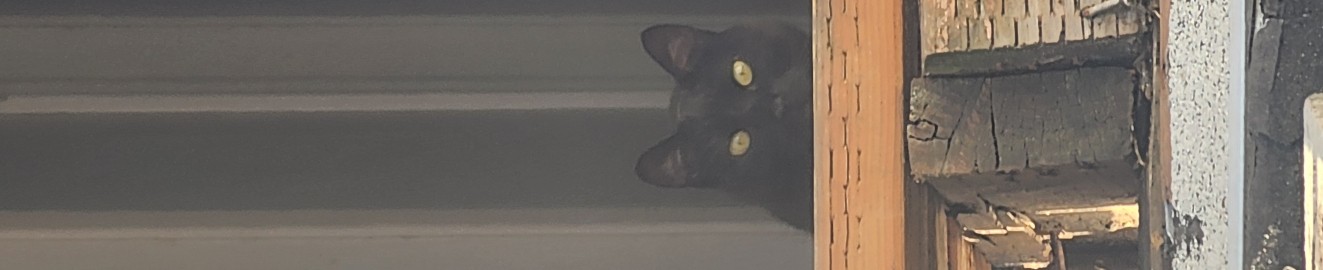 Portriatesir