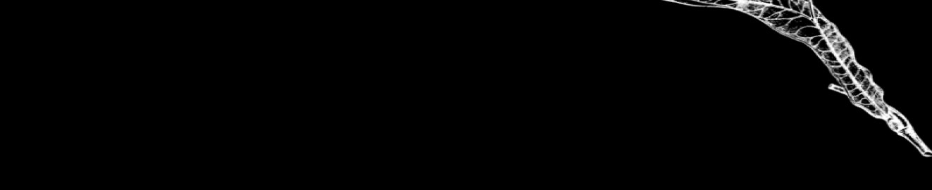 nowner1
