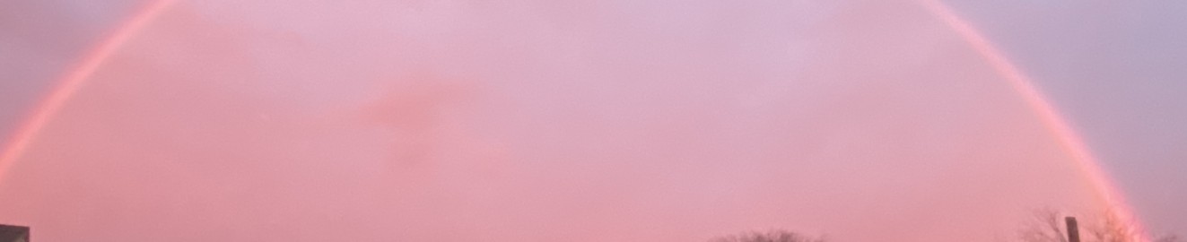 Sc00taB