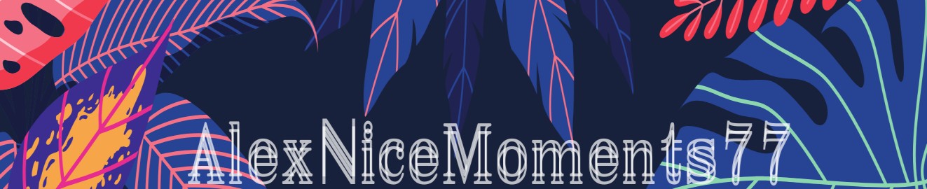 AlexNiceMoments77