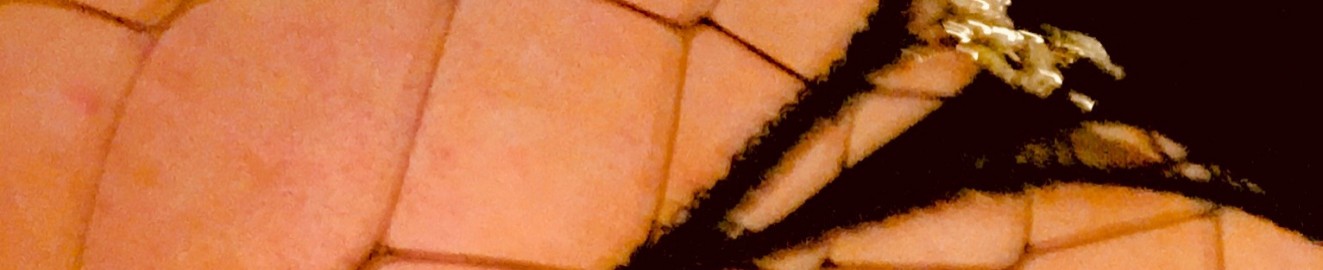 MatureCDMilf