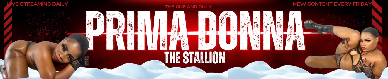 Prima Donna The Stallion
