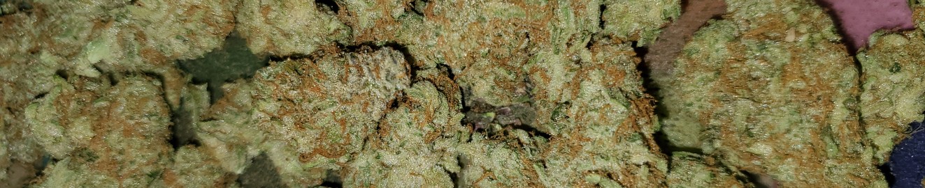 Jacktheripper1031