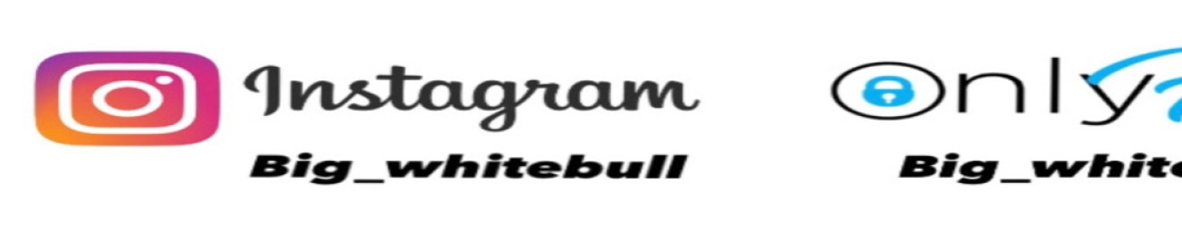 Bigbullreal