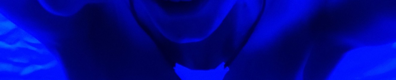 SexBlacklight