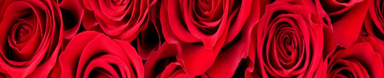 QueenRose20