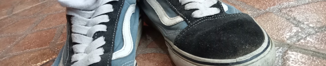 Swiss Vans Lover