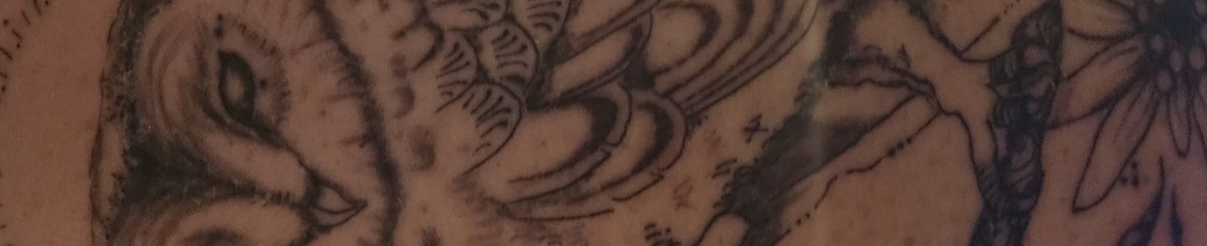Barberoussex