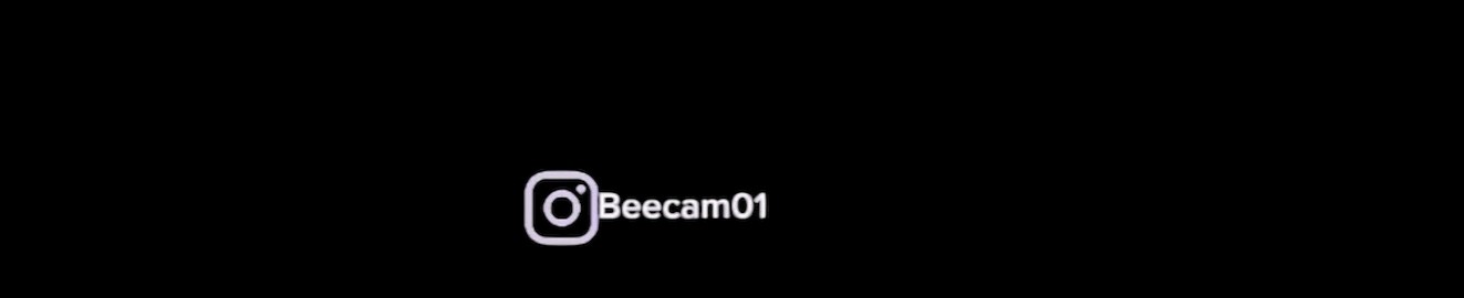Beecam