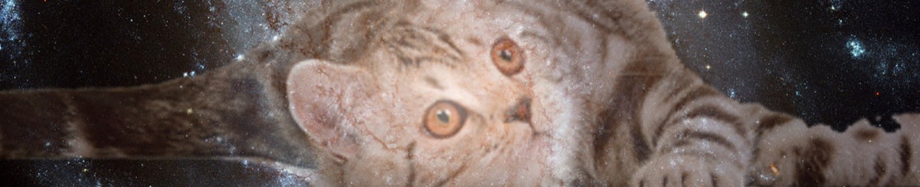 Marky Mark and the Cummy Dummies