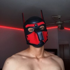 Mira Estrellas de Porno Gay Gratis: Córrete con Porno Masculino ...