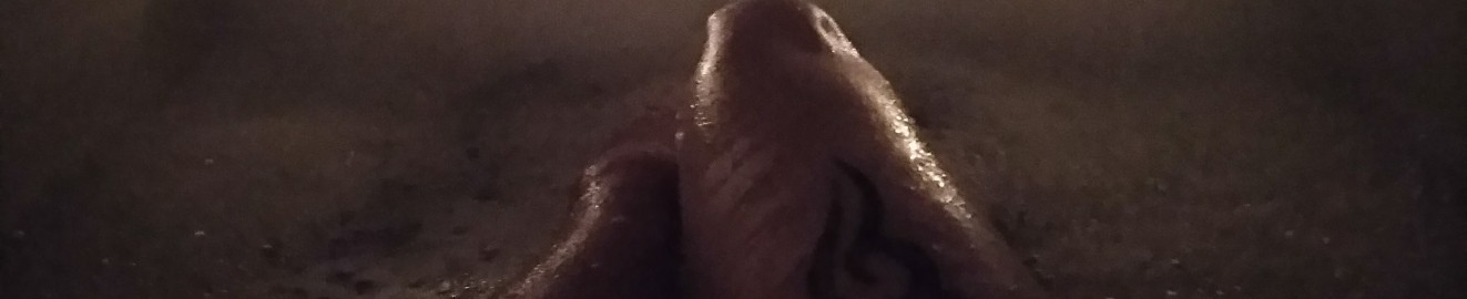 DaddysLittleKitty9
