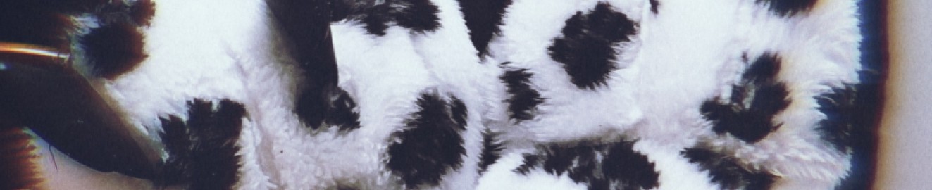 Fuzzy Socky