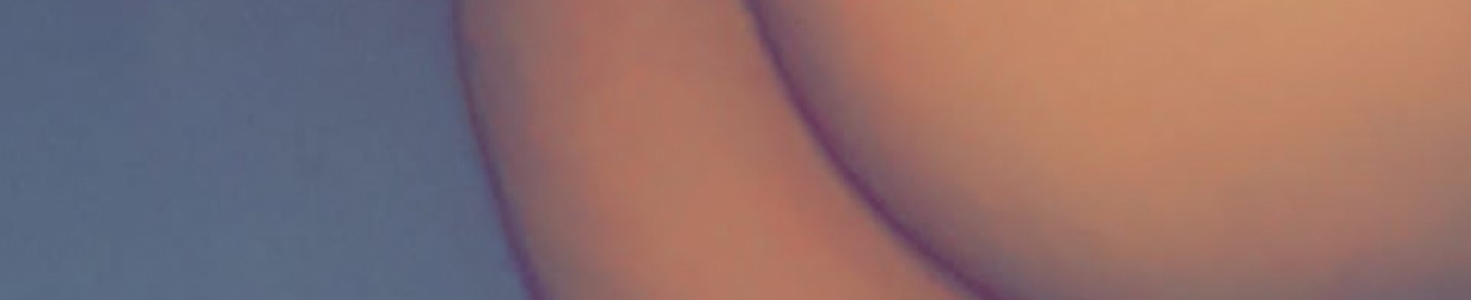 Bombina21