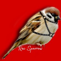 Rec Sparrow