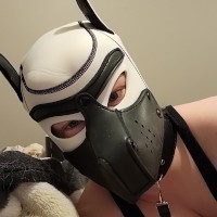 Kinky_Pup
