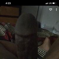 freaks313