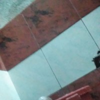 LookingPartner01