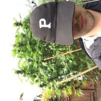 Daddyzz420