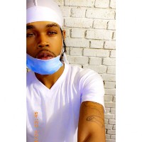 Inkredibull1