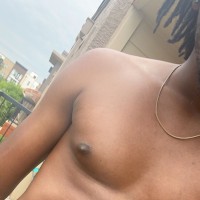 Chocolate Doe