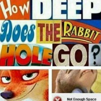 Life Mastersin
