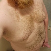 Polarbearwelder