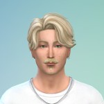 onlyfsims