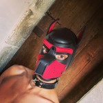 innaripup