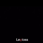 LeVicea