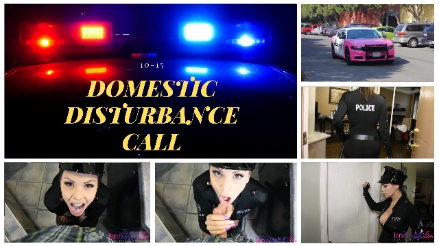 Domestic Disturbance Call