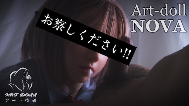 NOVA Series D Cup A6 Head Silicone Head Tpe Body 087 Doll's Fantasy Art