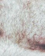 HAIRY MUSCLED CHEST