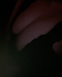 Past, Present, Bakedlezlex  photo